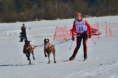 Agnieszka Jarecka skijoring