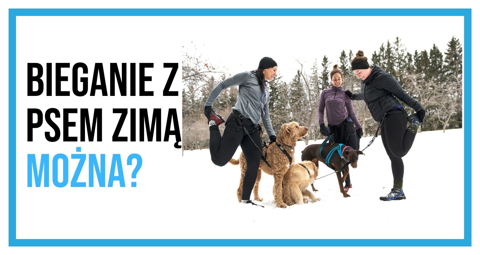 Ludzie biegający z psami zimą