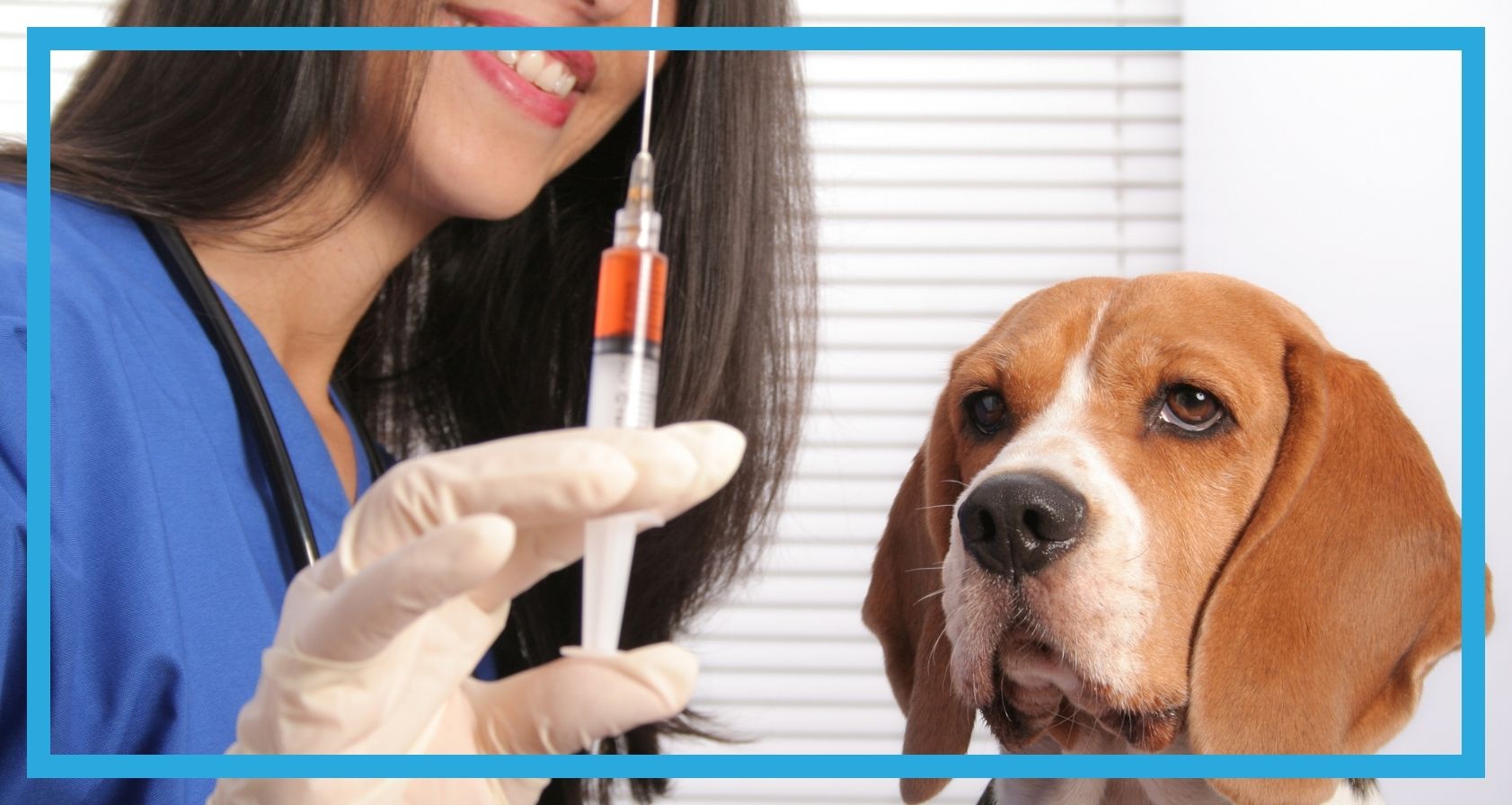 Pies w trakcie szczepienia